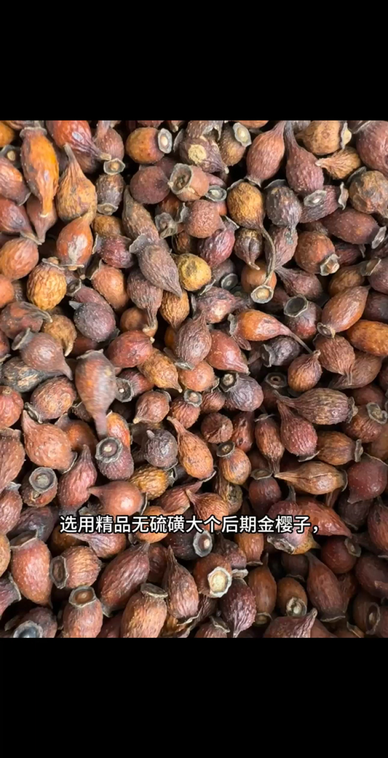 中药材金樱子肉三蒸三晒金樱子干肉泡酒材料