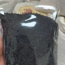 进口精品特级黑芝麻糠麻色选货大货批发