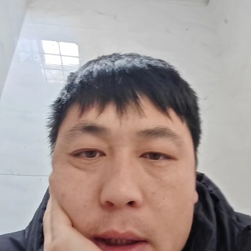 哈密瓜小蜜25号哈密瓜大量供应市场电商专业代
