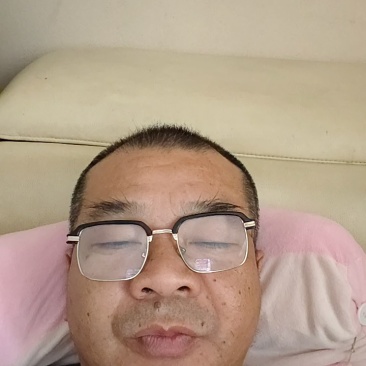 正宗大叶驯化隔山消苗基地直挖供正品保证高产量一手货源