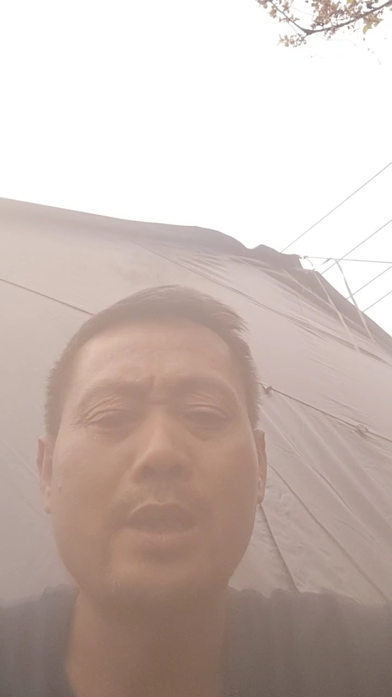 春橙伦晚脐橙10斤装汁多口感爆甜肉嫩爽口诚信交易保障