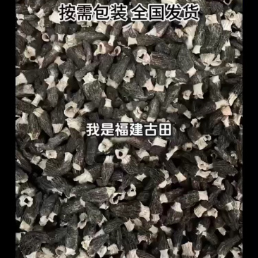 【今年新货】羊肚菌量大质优价格优惠支持视频看货欢迎采购