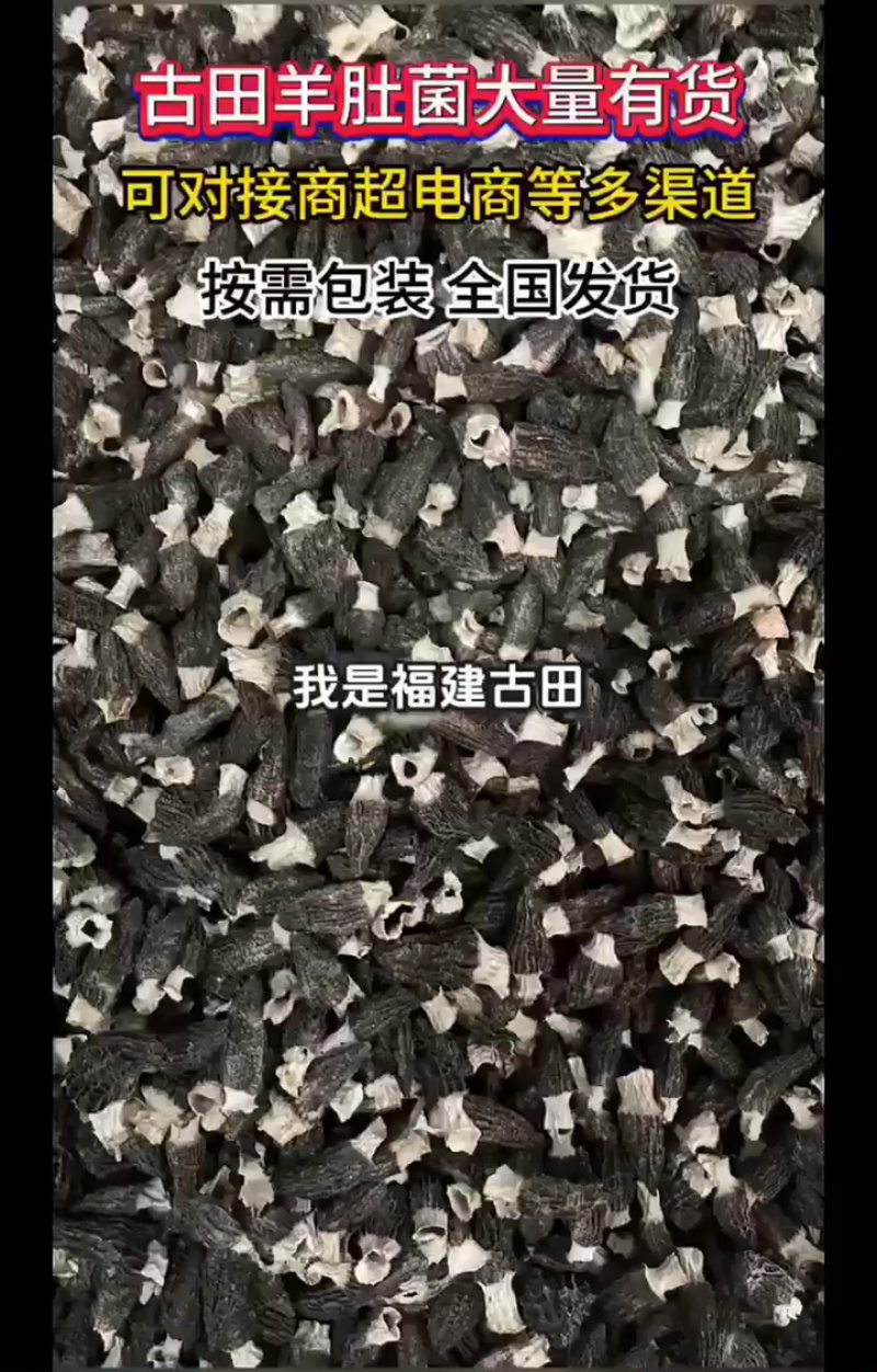 【今年新货】羊肚菌量大质优价格优惠支持视频看货欢迎采购