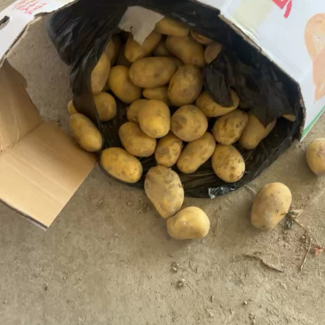 产地盈江中货装车中，发往河南