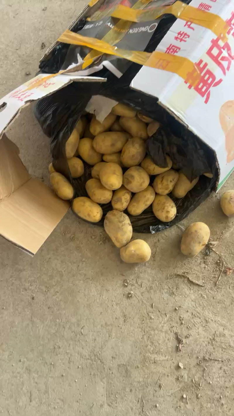 产地盈江中货装车中，发往河南