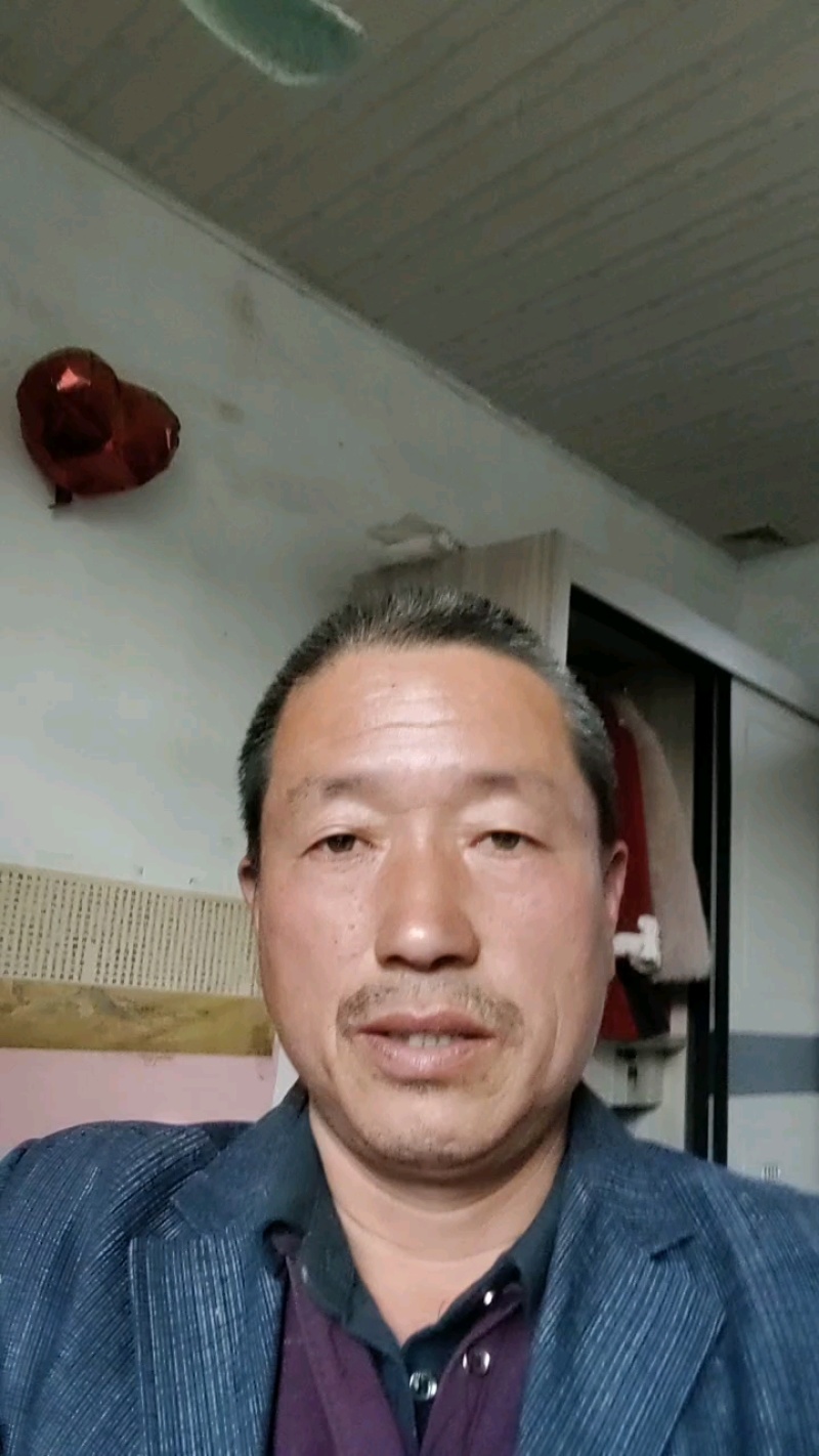 山东冠县速生杨107/108杨树苗育苗基地直发