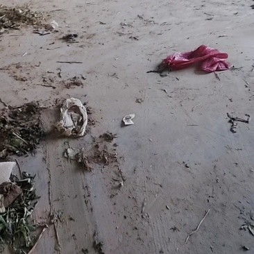 徐州丰县陆地红根毛蒜苗大量上市基地货源质量好价格优