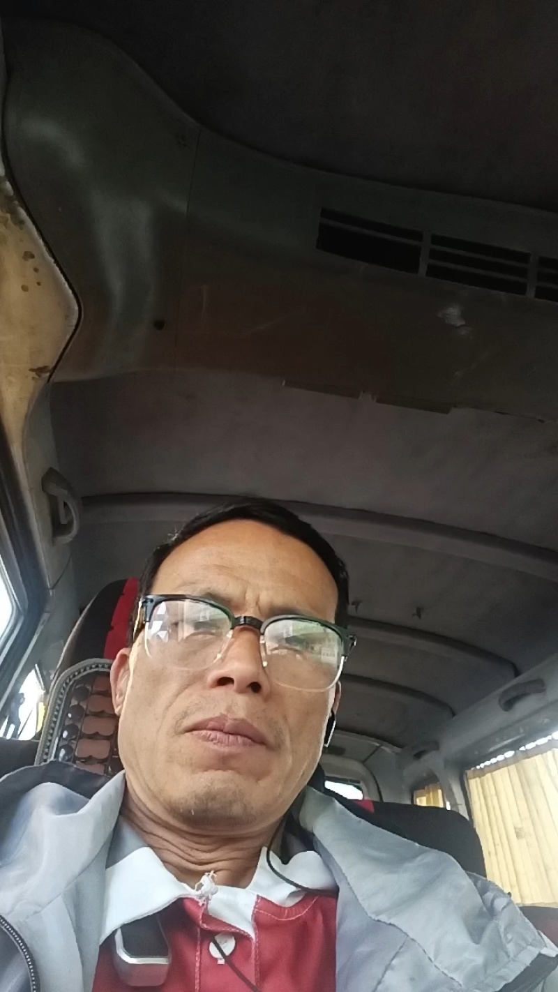 江门金丰浩黄皮甘蔗苗种，黄金苗种