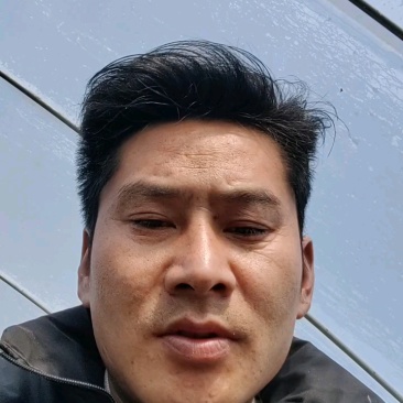 生菜精品通货