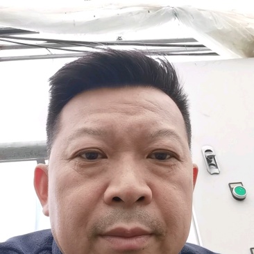 盆栽草莓