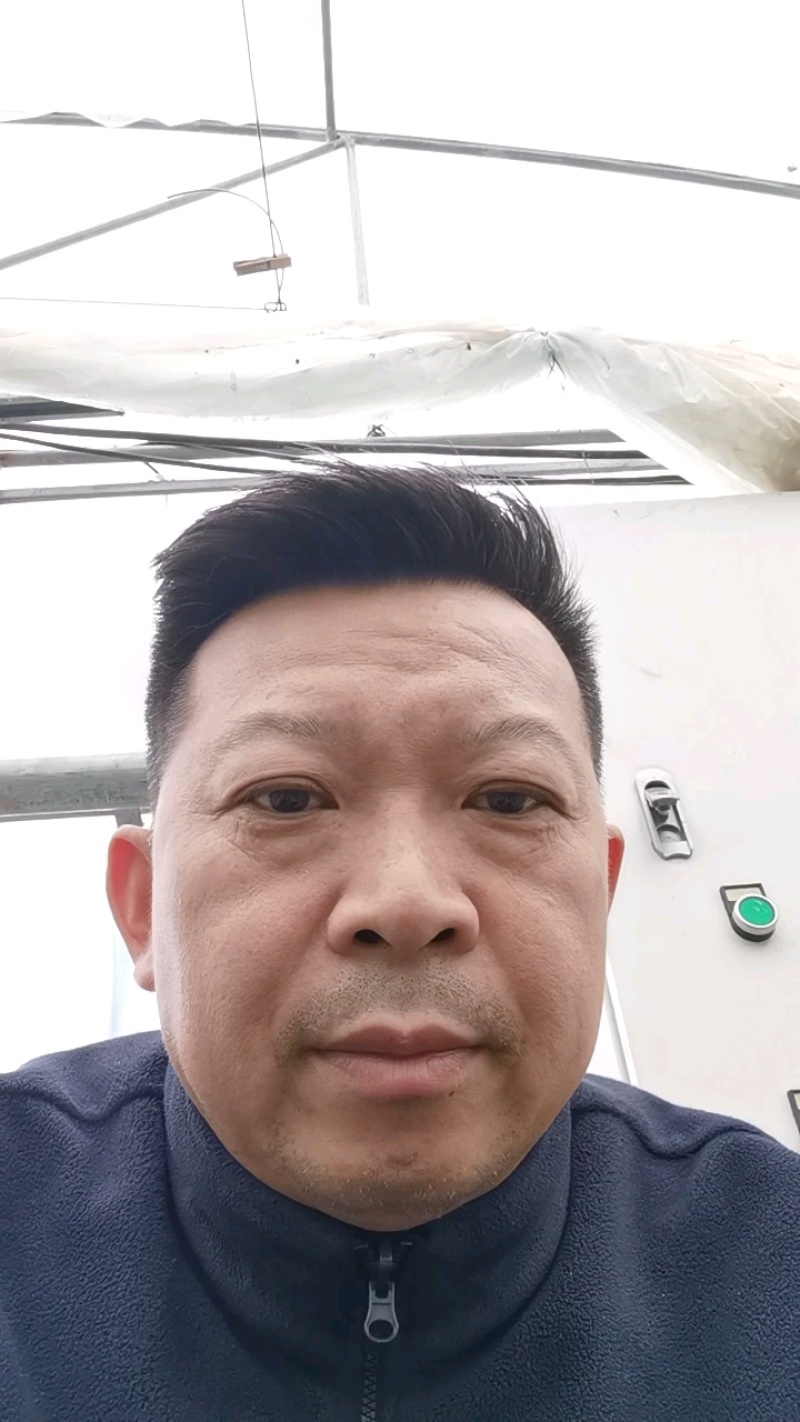 盆栽草莓