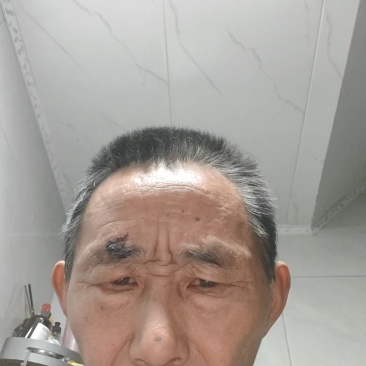 七月黄柿子大面黄啦，产地有2千亩，品质优量，口感上成。