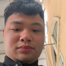 马尼拉草坪