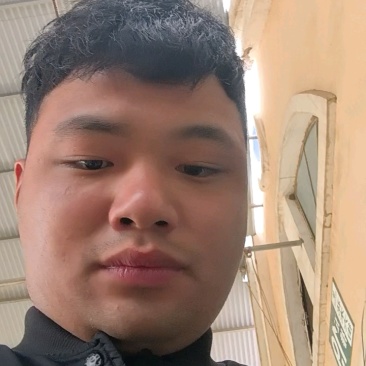 马尼拉草坪