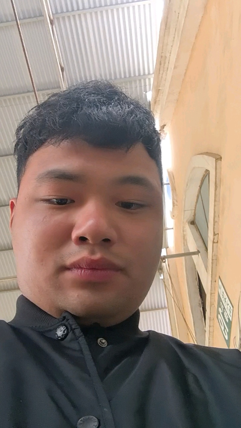 马尼拉草坪
