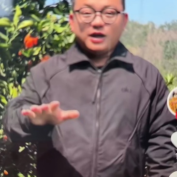 血橙，中华红血橙，塔罗科橙，口感纯甜无酸水分充足爆汁