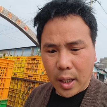 【推荐】广西砂糖橘大量上市产地直发规格齐全欢迎联系