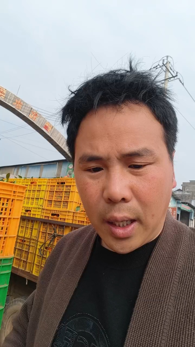 【推荐】广西砂糖橘大量上市产地直发规格齐全欢迎联系