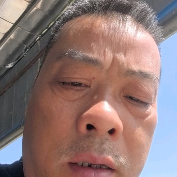 优质中华甲鱼苗,甲鱼苗中华鳖鱼苗外塘精养可提供养殖技术