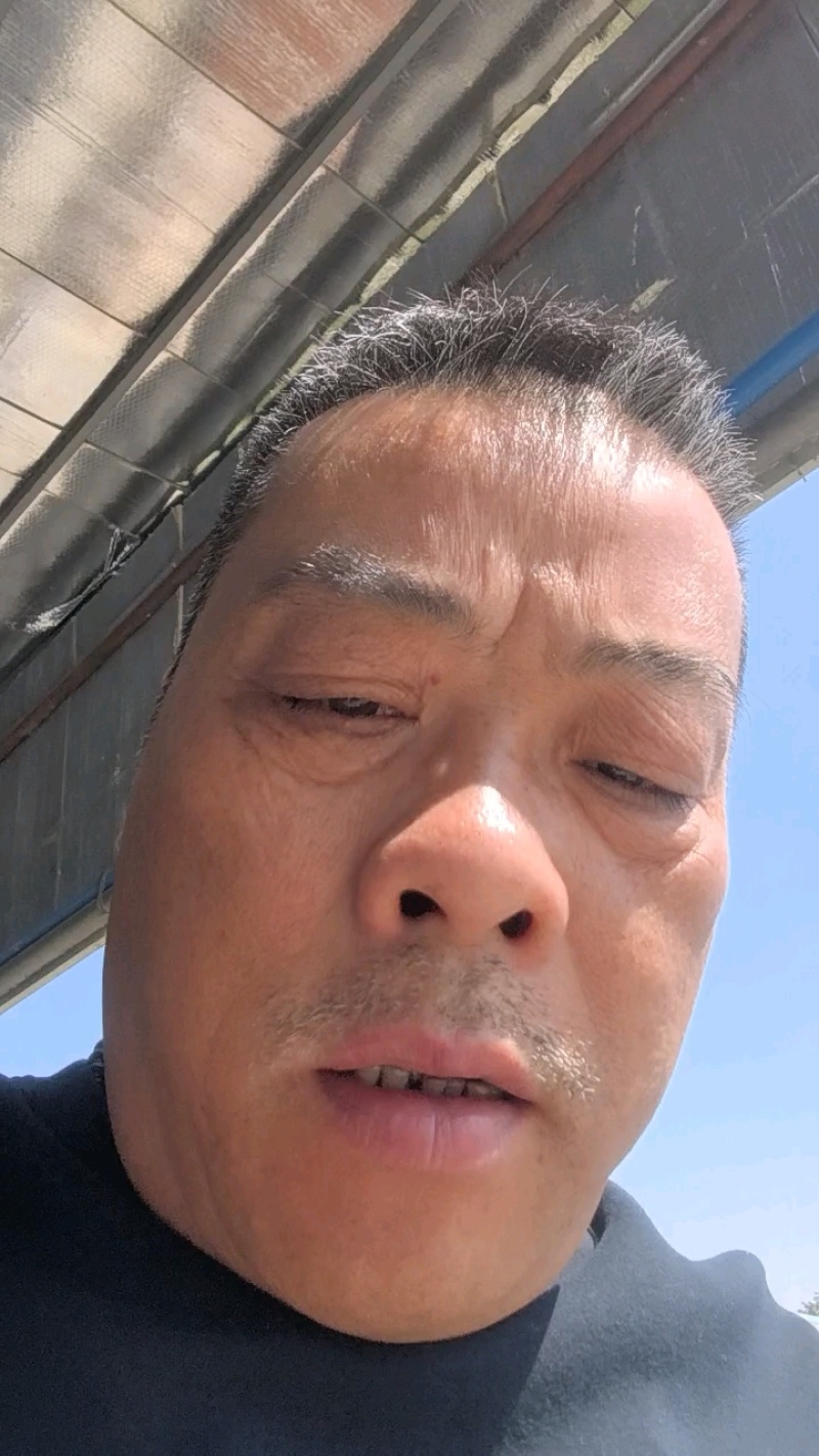 优质中华甲鱼苗，甲鱼苗中华鳖鱼苗外塘精养可提供养殖技术