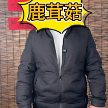 精品鹿茸菇