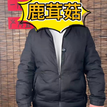 精品鹿茸菇