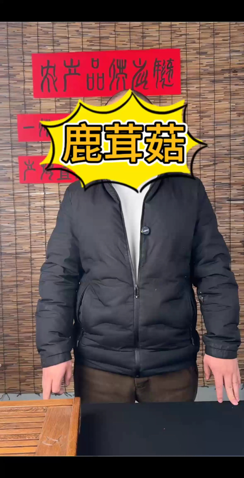 精品鹿茸菇