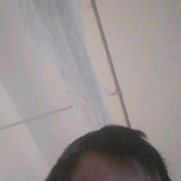 板栗南瓜30亩