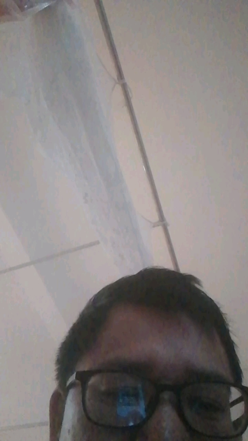 板栗南瓜30亩