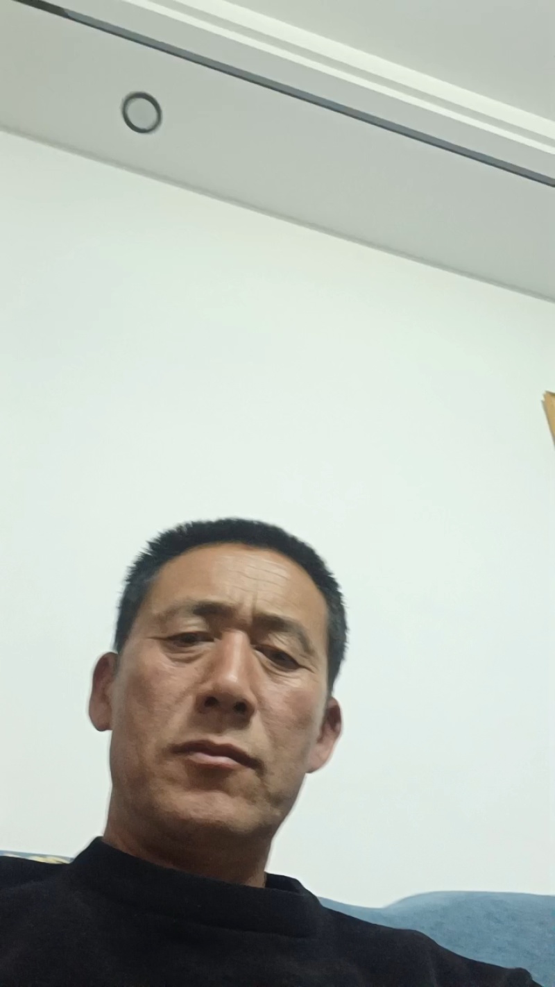 大量供应优质甘蓝牛心甘蓝品质保证