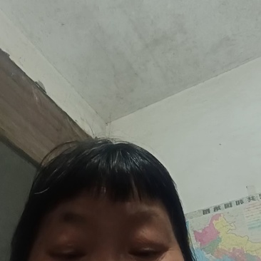 毛芋