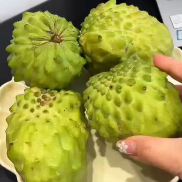 香甜软糯牛奶凤梨释迦果，现摘现发超甜！