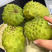 香甜软糯牛奶凤梨释迦果，现摘现发超甜！