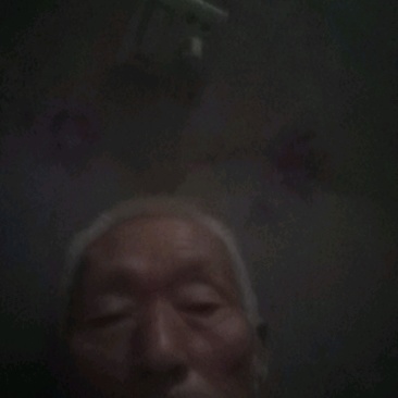 塔尔玛西梅苗产地一手货源，可以视频看货，欢迎合作