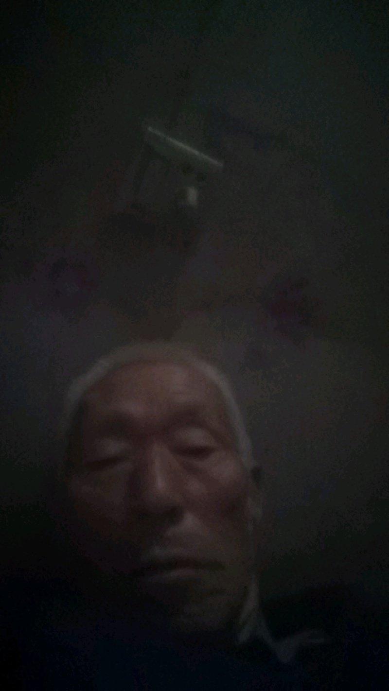 塔尔玛西梅苗产地一手货源，可以视频看货，欢迎合作