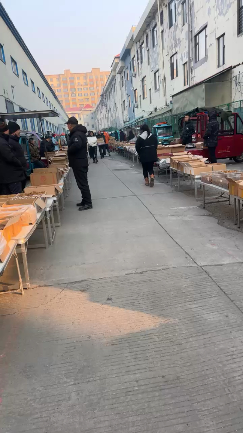 长白山无糖红参