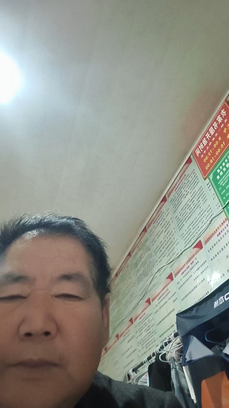 桑树种、大叶桑种