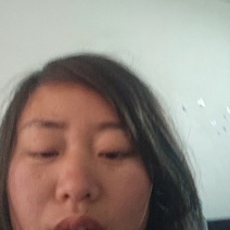 白桂观赏鸡