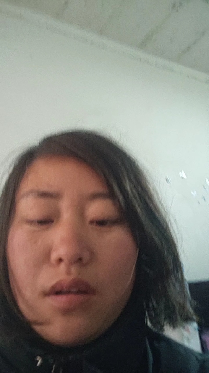 白桂观赏鸡