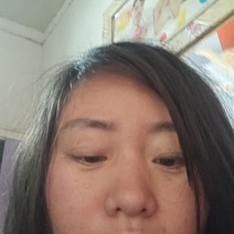 鹧鸪