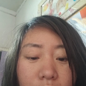 鹧鸪