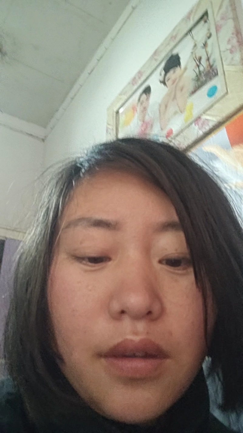 鹧鸪