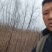 山东鲁丽苹果苗、月香（货源充足量大从优）现挖现发，质量好