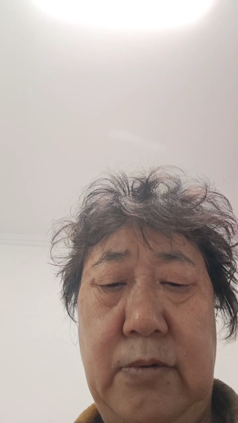 （同辉18）内蒙古食葵葵花籽瓜子产地直发品质保障