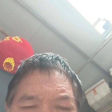 竹蜂