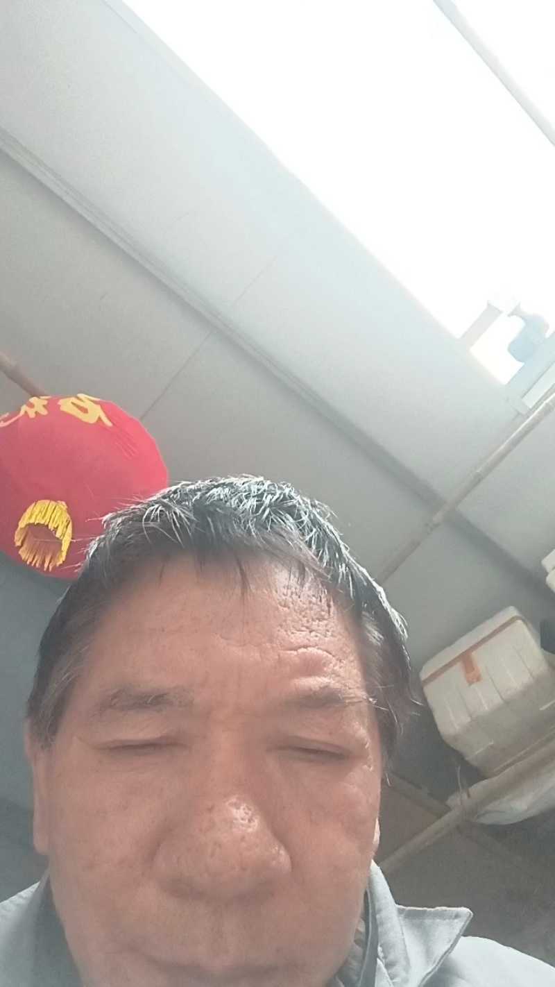 竹蜂