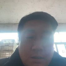 塔罗科血橙