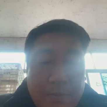 血橙