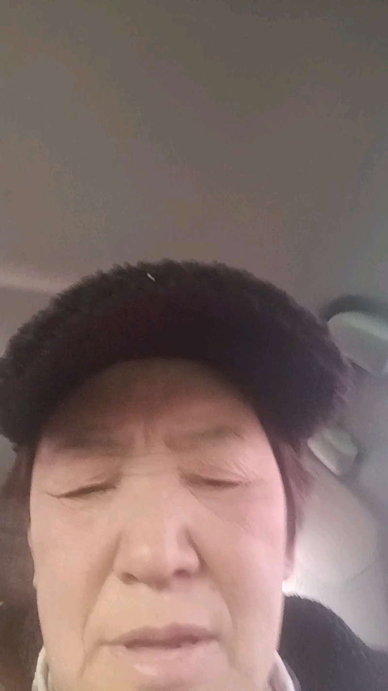东北大白梨