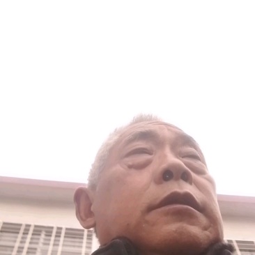 西峡县双龙镇香菇聚散地干香菇，花菇